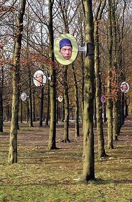 Boezem bomen